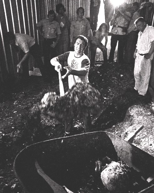 Prison trusties and investigators excavating the Houston boat shed during the Dean Corll recovery operation in August 1973