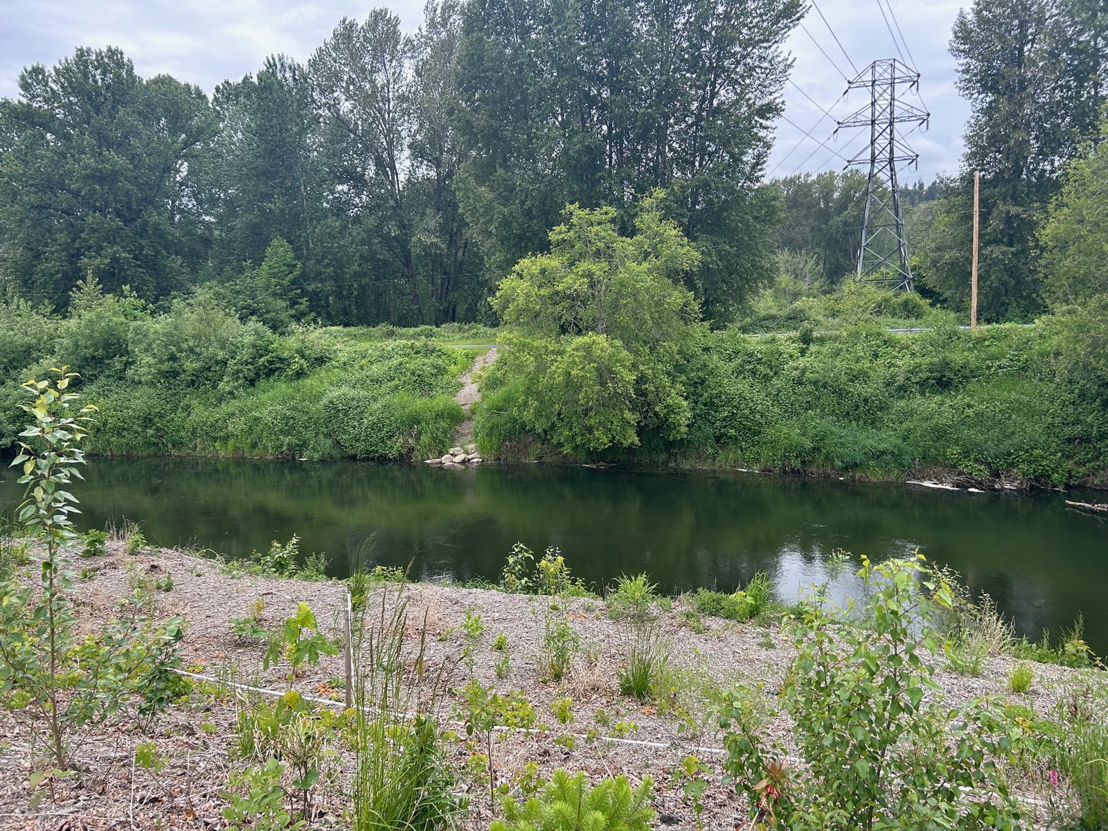 The Green River in Kent, Washington, the waterway that gave the Green River killings investigation its name